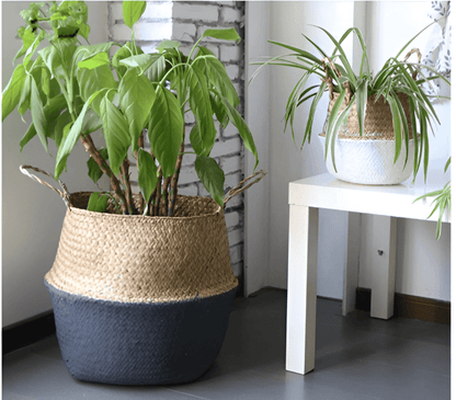 Handmade Rattan Planter or Storage Basket with Handles