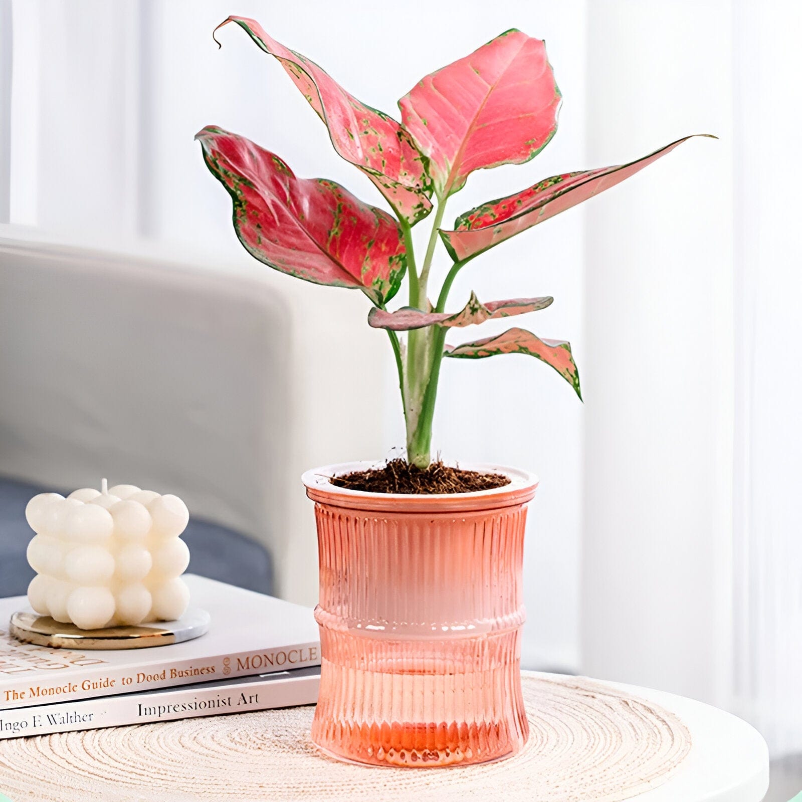 Hydroponic Flower Pot