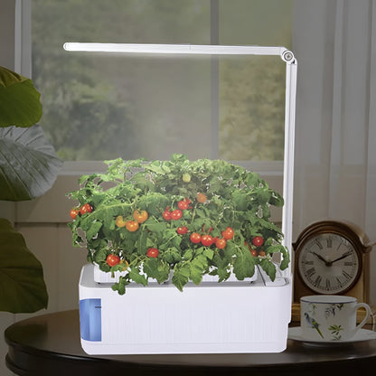 Indoor Herb Garden Hydroponic LED Planter Kit