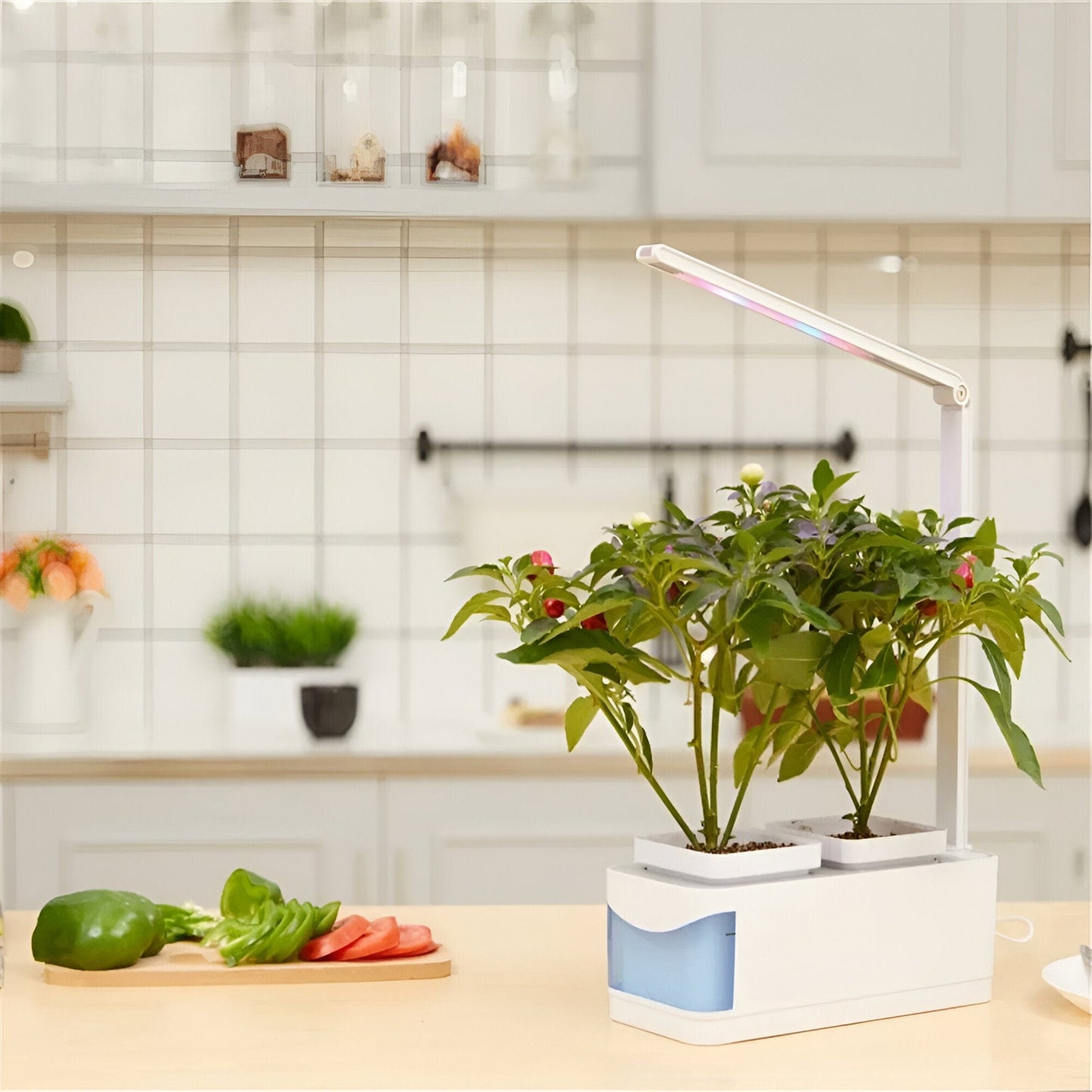 Indoor Herb Garden Hydroponic LED Planter Kit