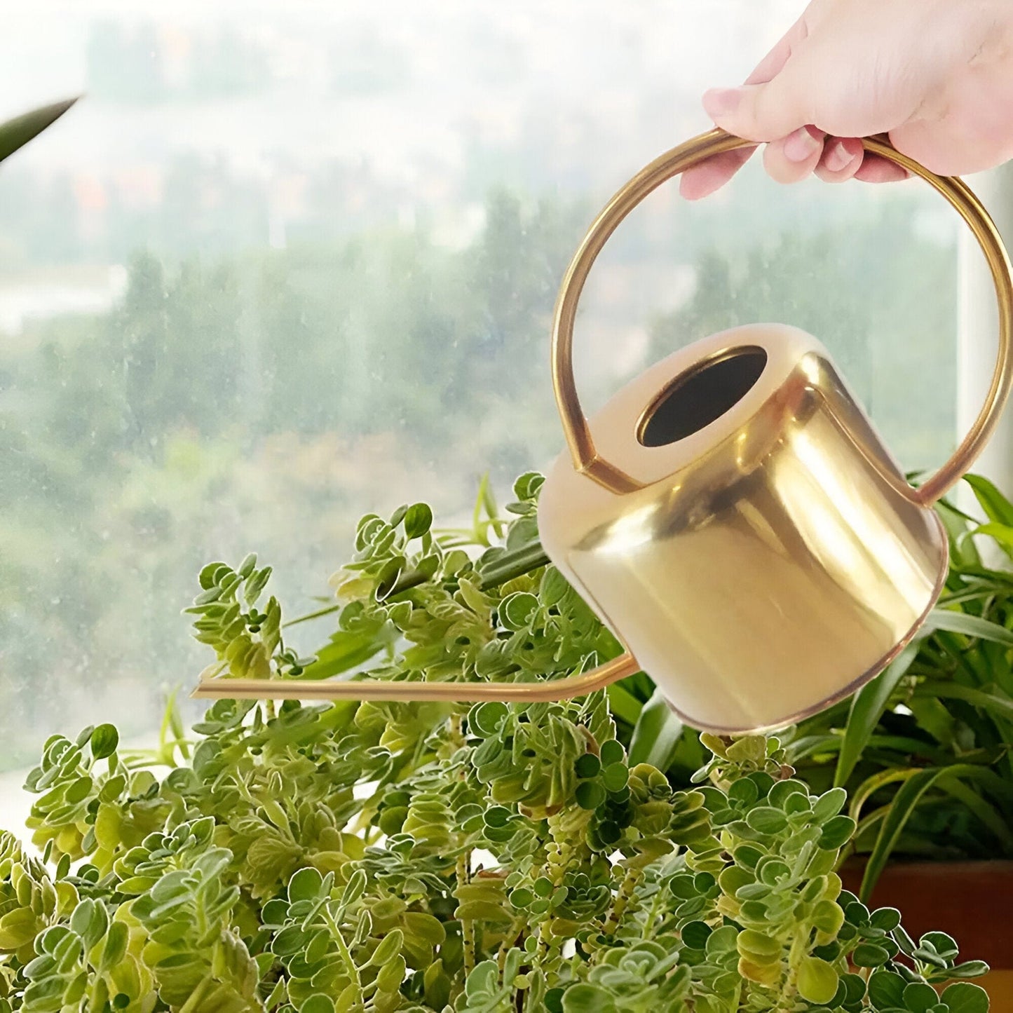 Vintage Brass Watering Can