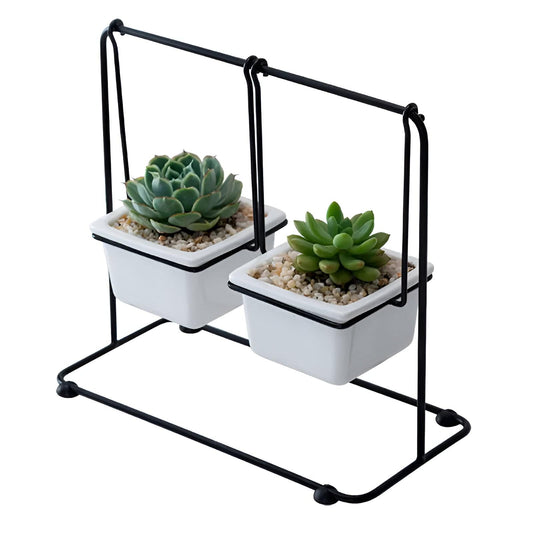 Succulent Swing Planter