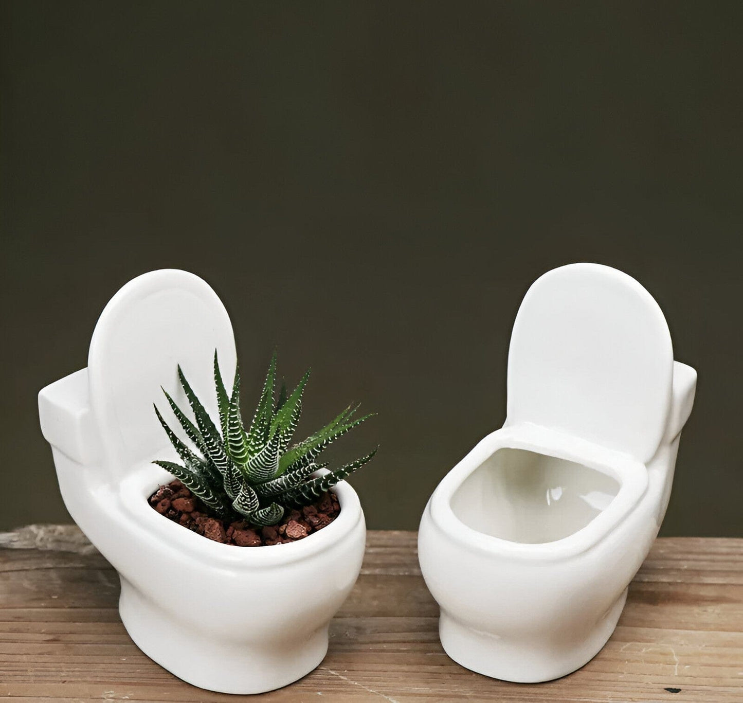  Handmade Ceramic Toilet Succulent Planter