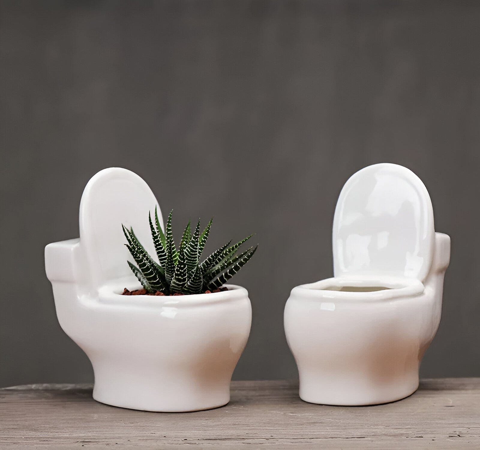  Handmade Ceramic Toilet Succulent Planter