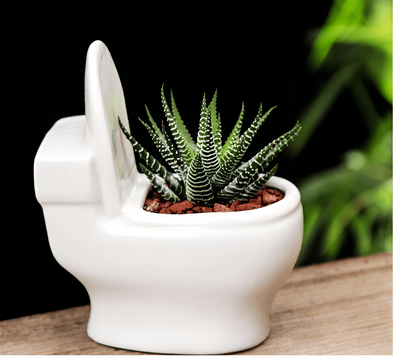  Handmade Ceramic Toilet Succulent Planter