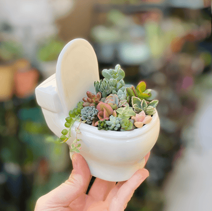  Handmade Ceramic Toilet Succulent Planter