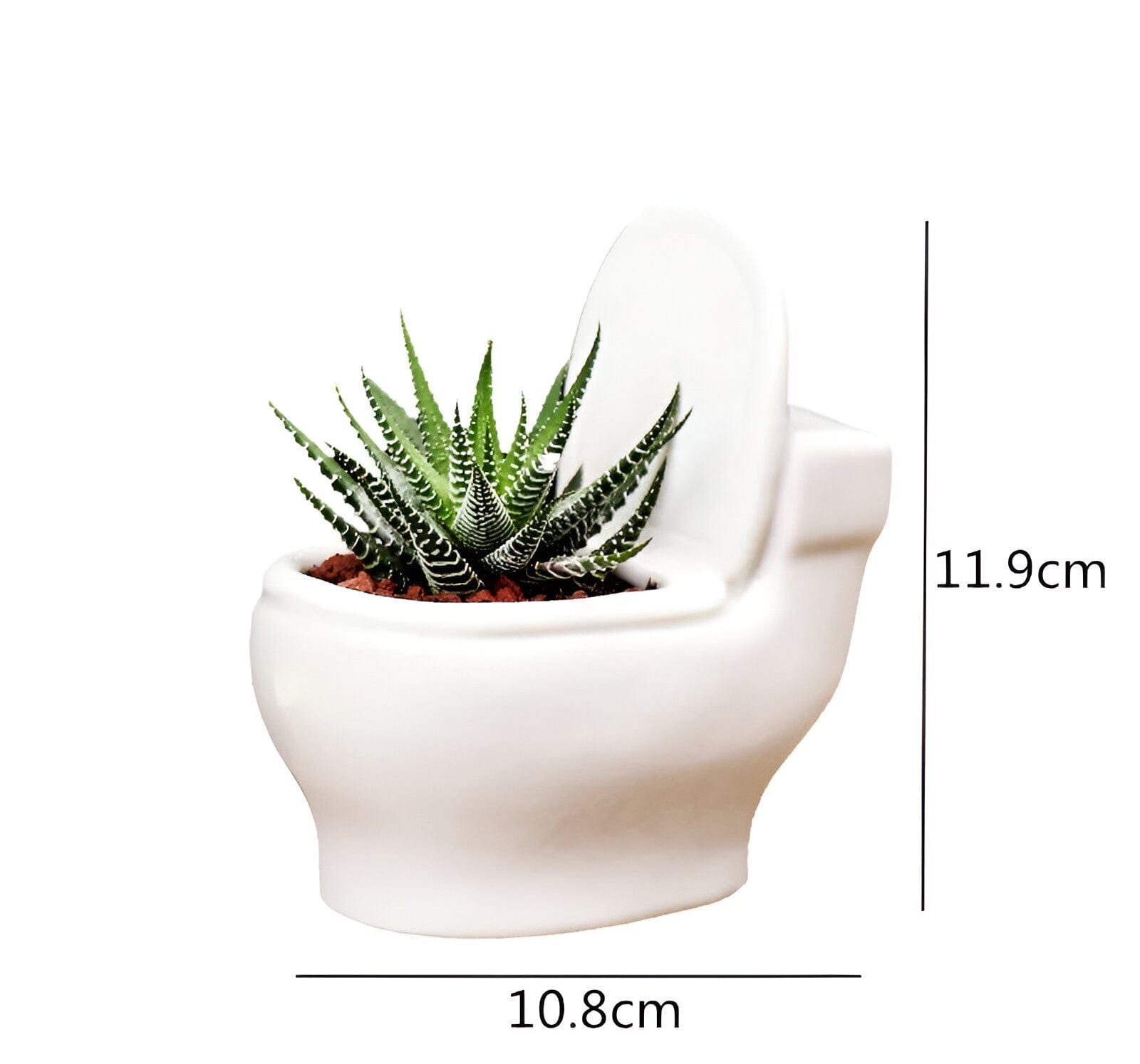  Handmade Ceramic Toilet Succulent Planter