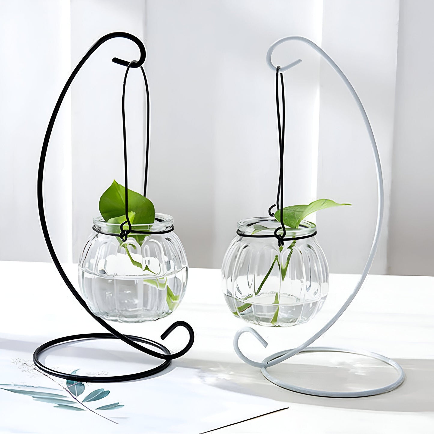 Hanging Hydroponics Flower Vase