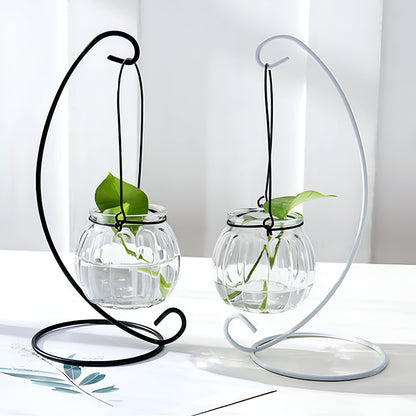 Hanging Hydroponics Flower Vase