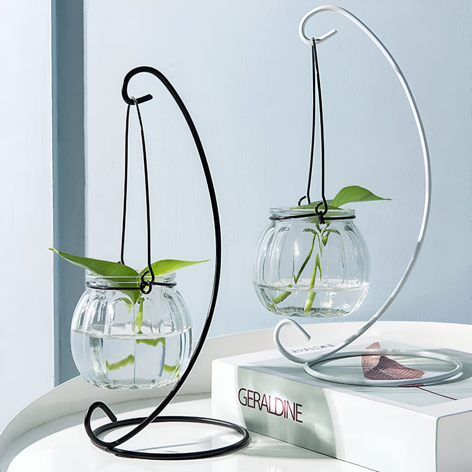 Hanging Hydroponics Flower Vase