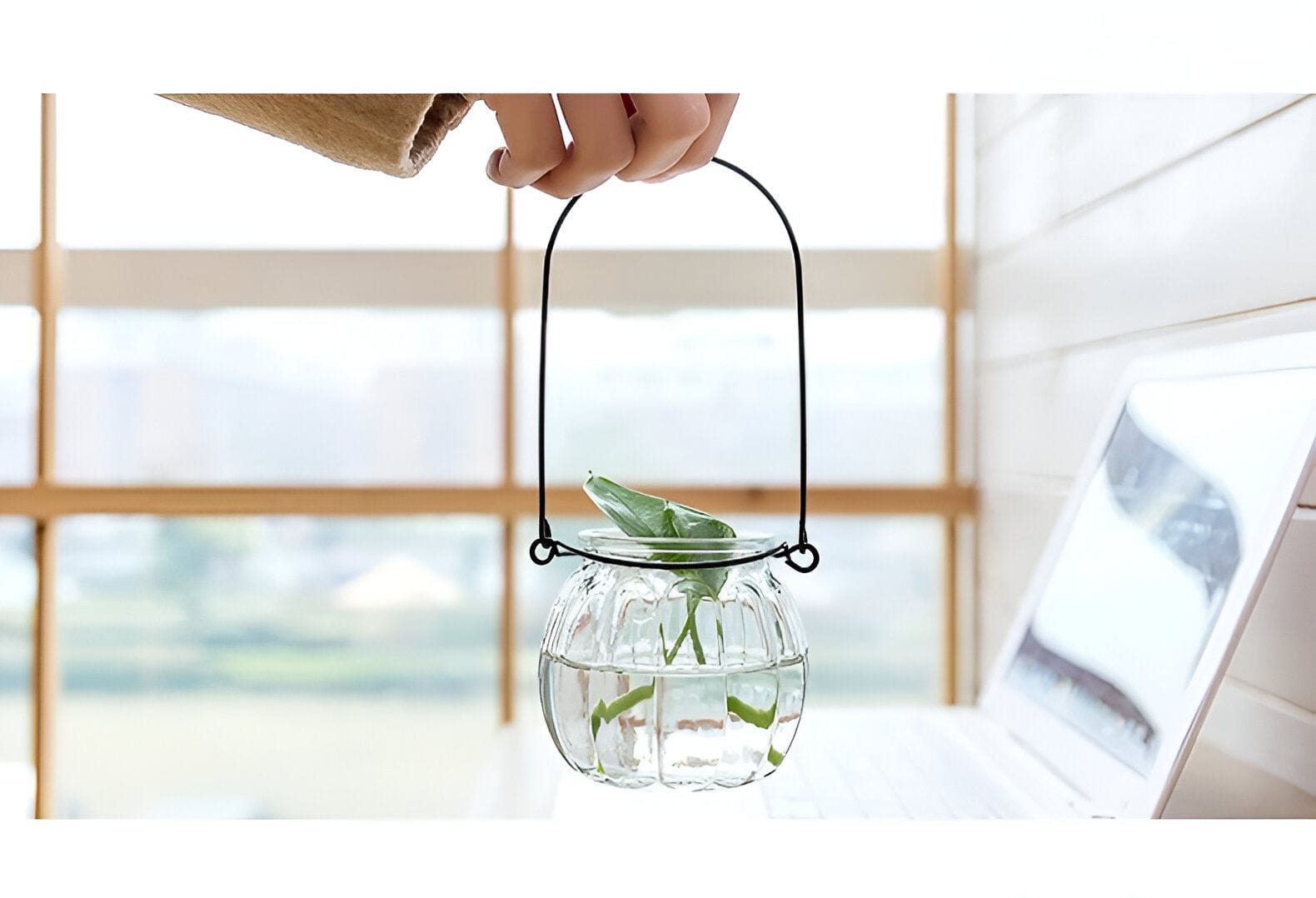 Hanging Hydroponics Flower Vase