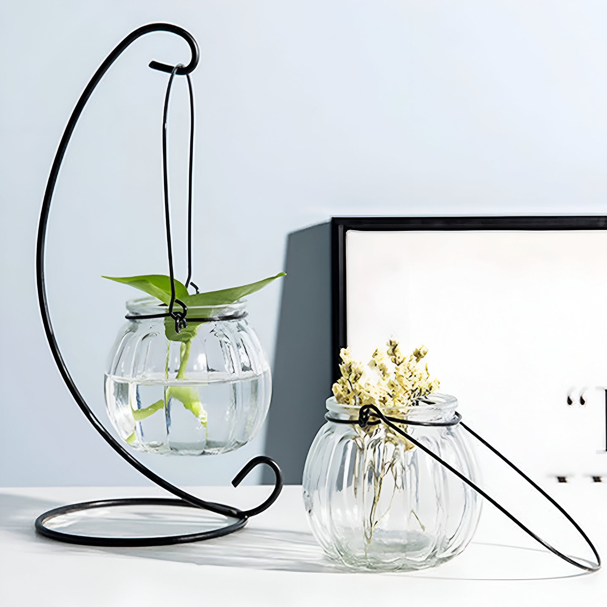 Hanging Hydroponics Flower Vase