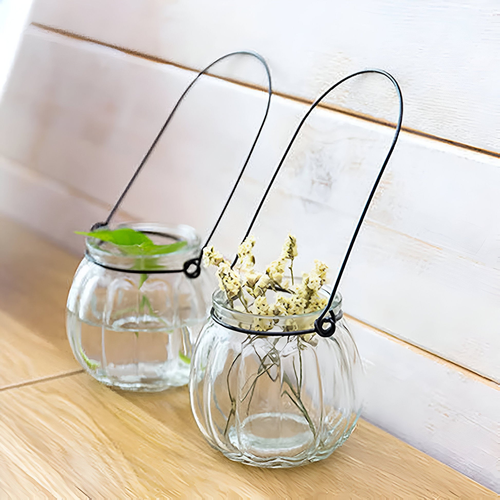 Hanging Hydroponics Flower Vase