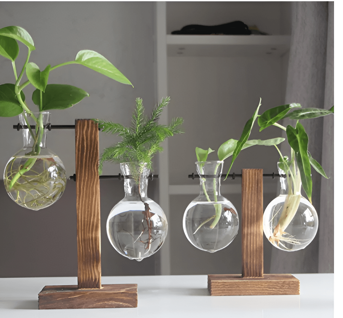 Glass Propagation Vase with Vertical Wooden Stand