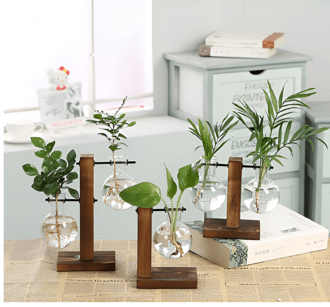 Glass Propagation Vase with Vertical Wooden Stand