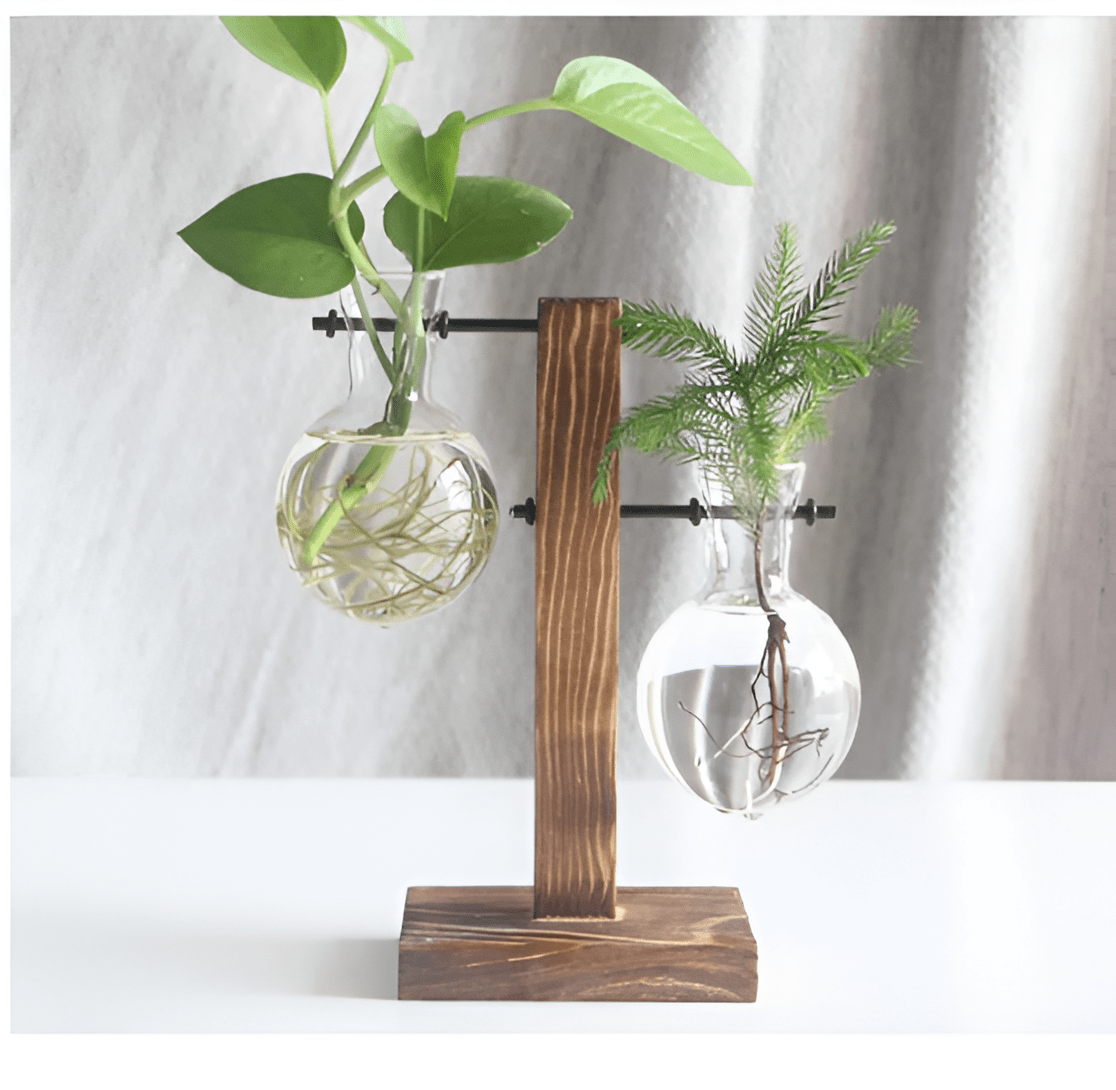 Glass Propagation Vase with Vertical Wooden Stand