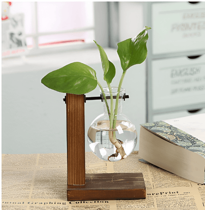 Glass Propagation Vase with Vertical Wooden Stand