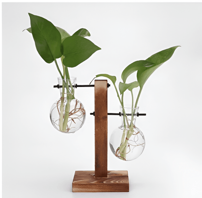 Glass Propagation Vase with Vertical Wooden Stand