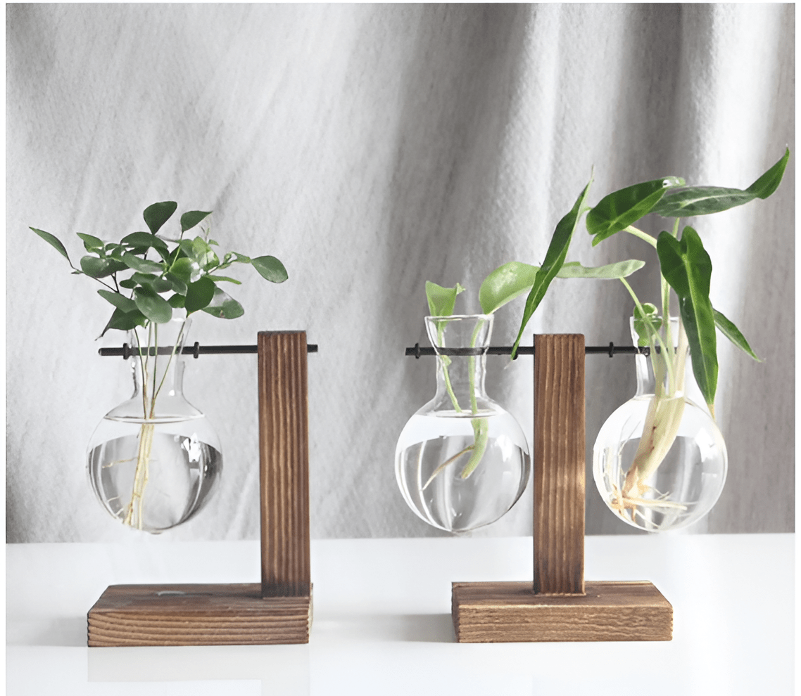 Glass Propagation Vase with Vertical Wooden Stand