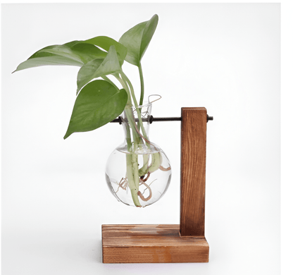 Glass Propagation Vase with Vertical Wooden Stand