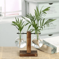 Glass Propagation Vase with Vertical Wooden Stand