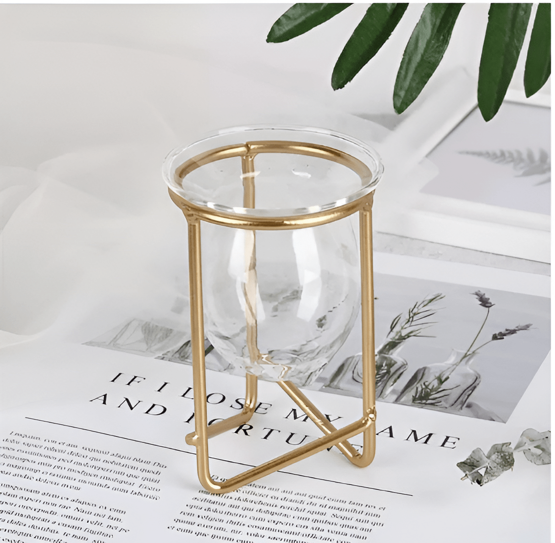 Glass Propagation Vase with Geometric Iron Stand