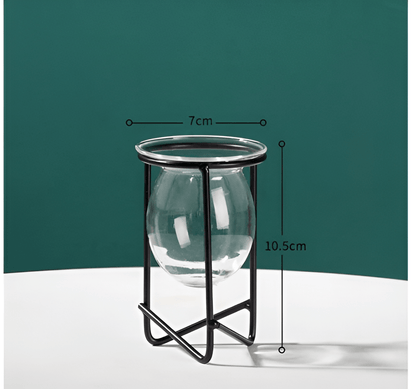 Glass Propagation Vase with Geometric Iron Stand