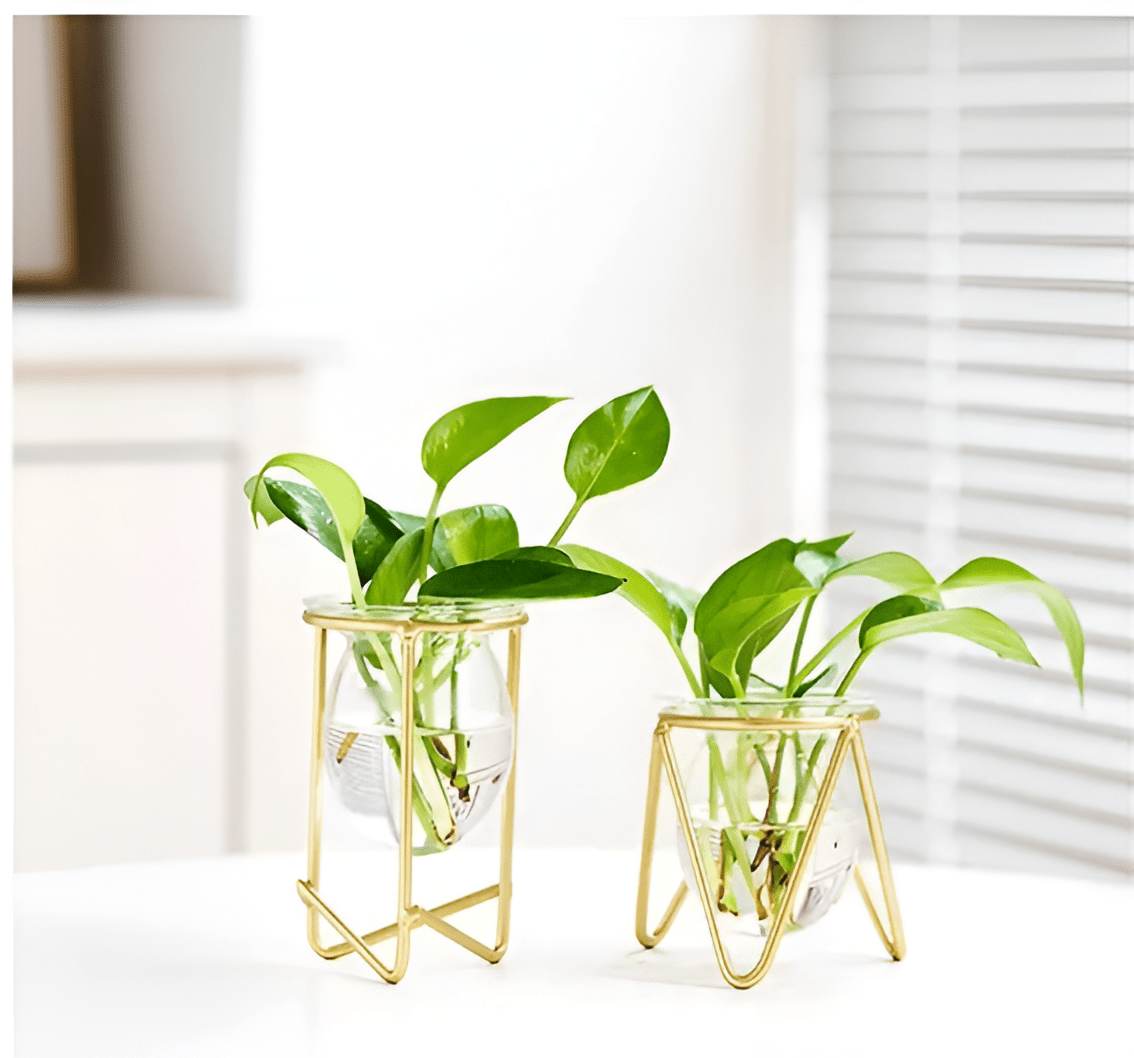 Glass Propagation Vase with Geometric Iron Stand