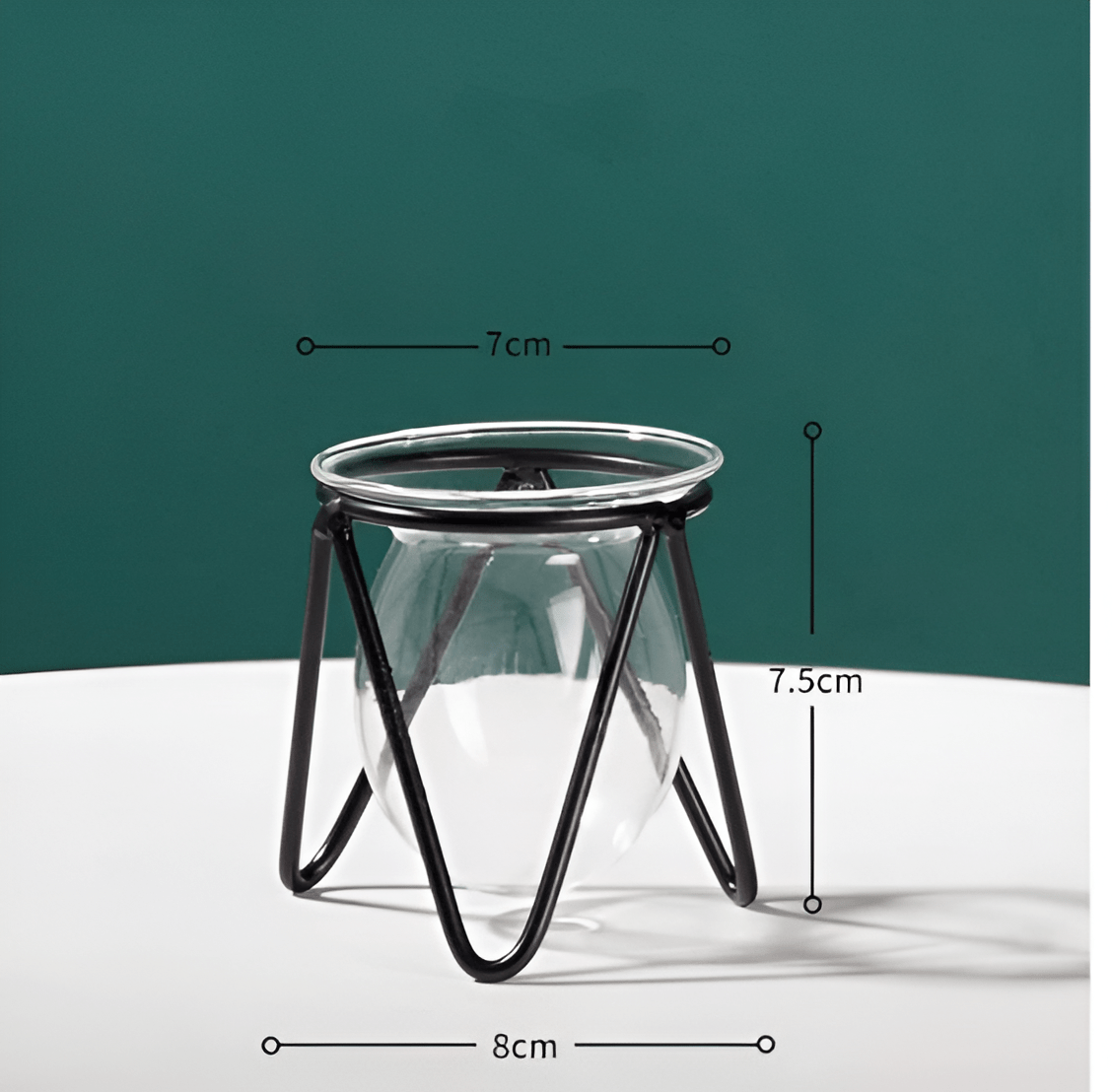 Glass Propagation Vase with Geometric Iron Stand