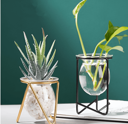 Glass Propagation Vase with Geometric Iron Stand