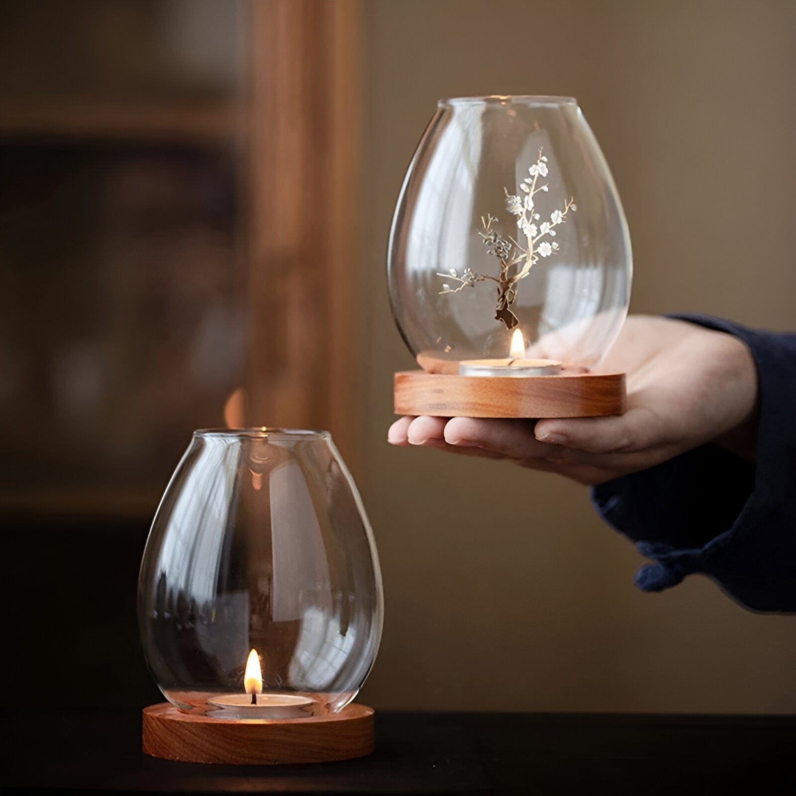 Transparent Windproof Candle Cover