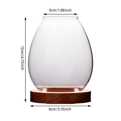 Transparent Windproof Candle Cover