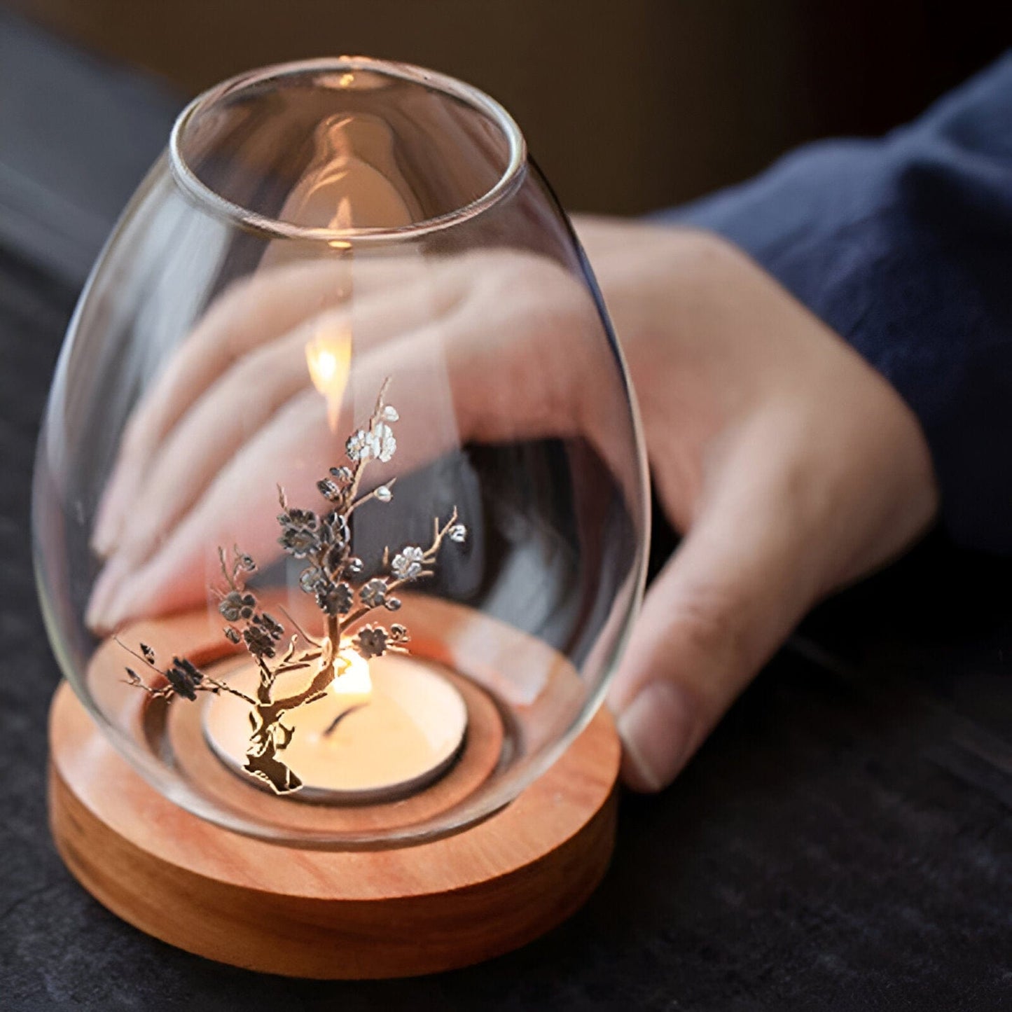 Transparent Windproof Candle Cover