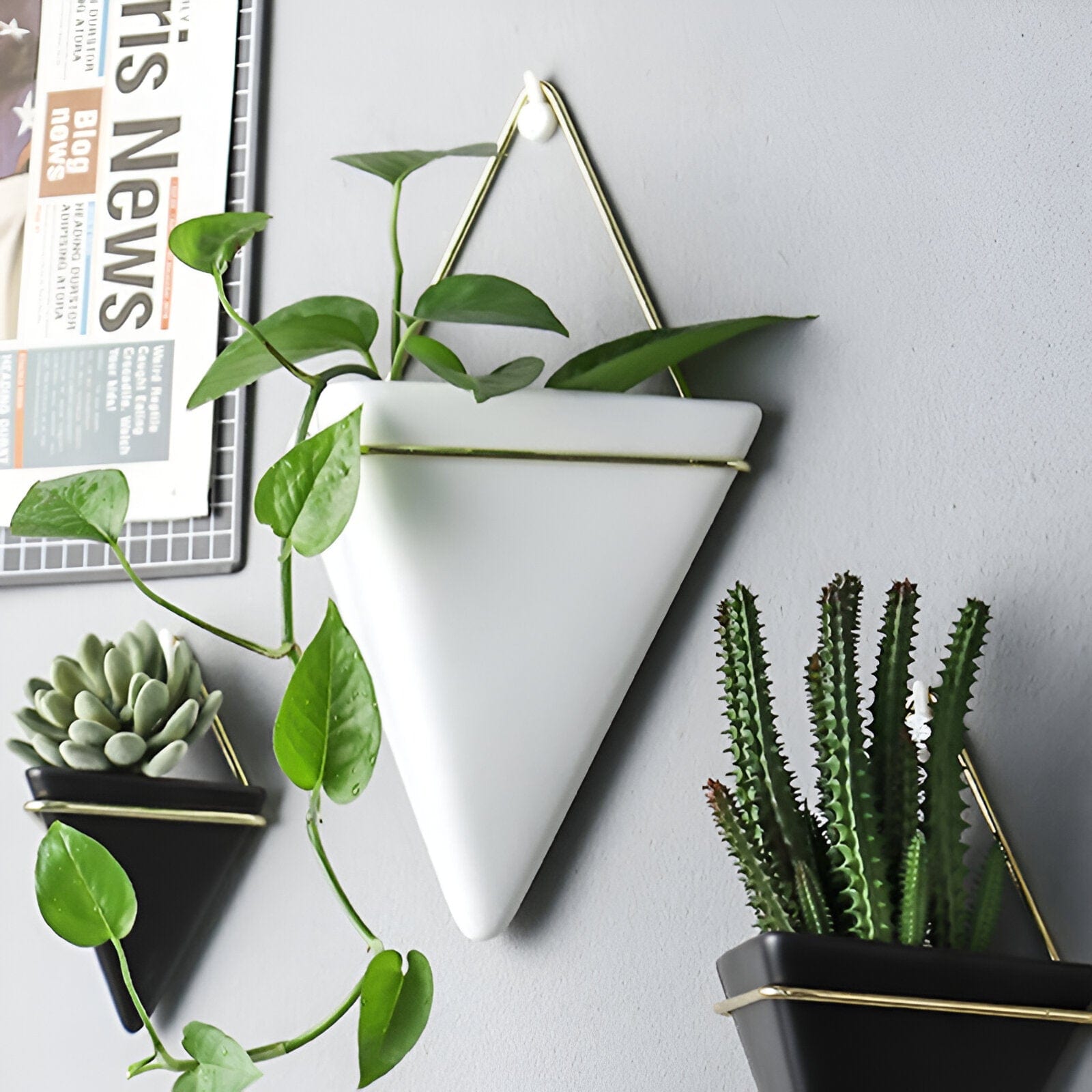 Geometric Hanging Terrarium