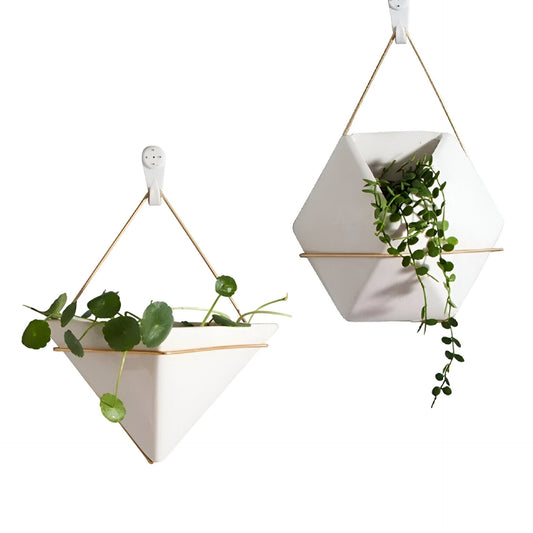 Geometric Hanging Terrarium