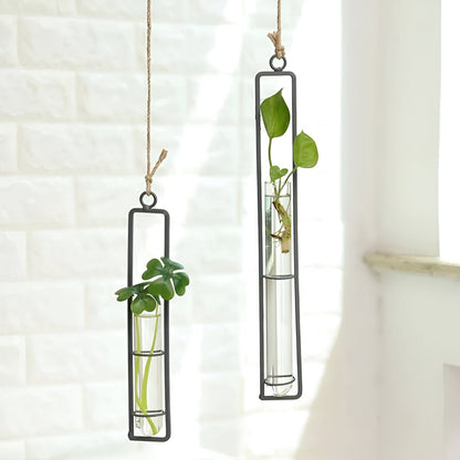  Hanging Iron Propagation Terrarium Vases