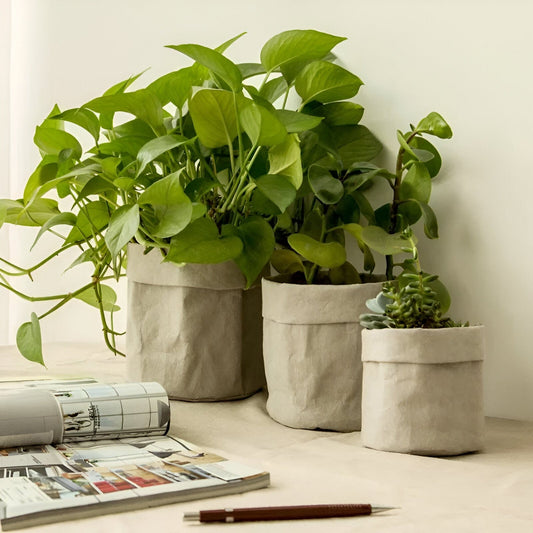 Waterproof Paper Planter Bag