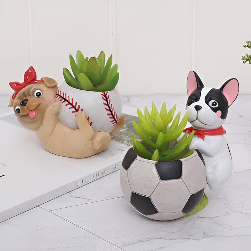 Sporty Dog Succulent Planter