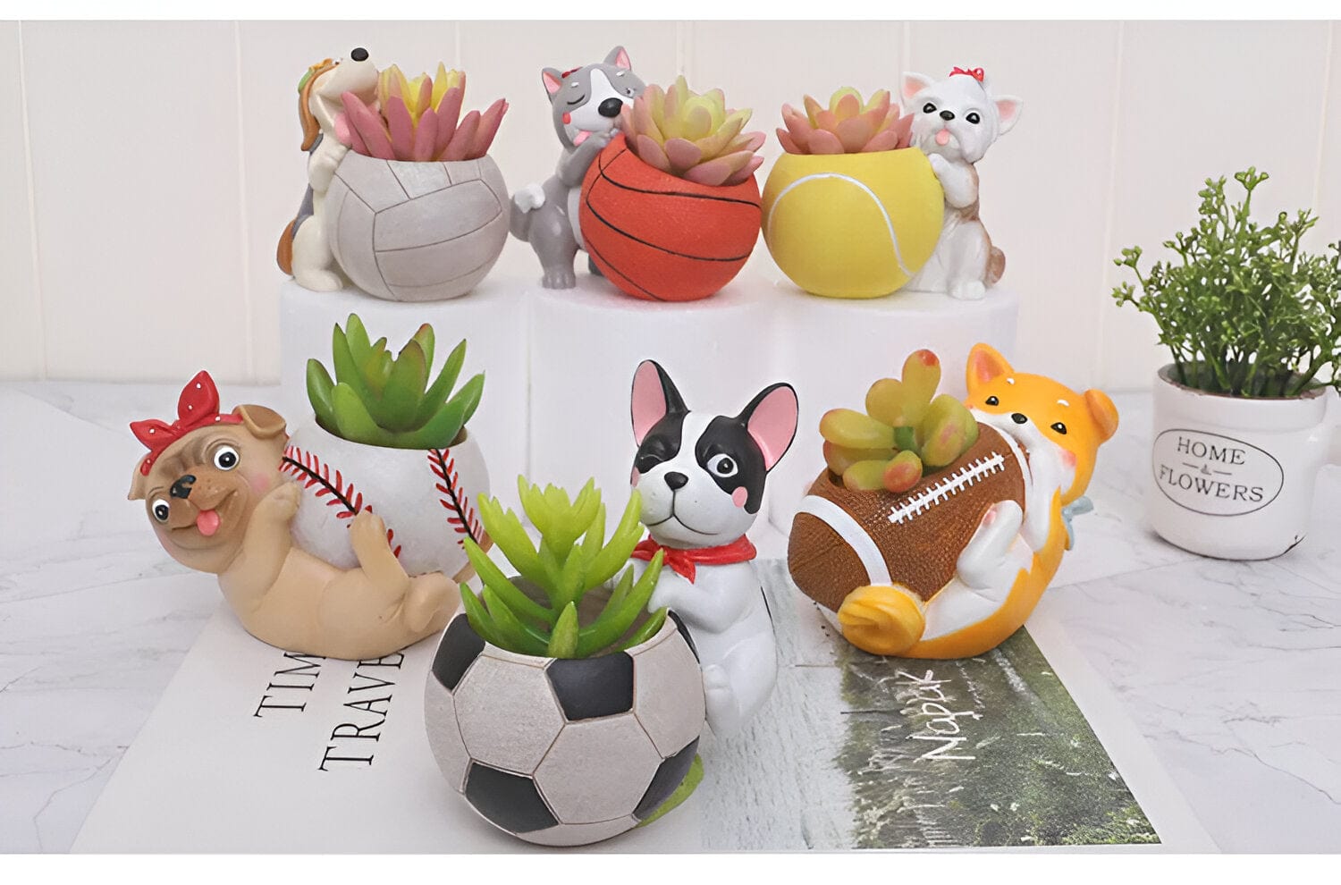 Sporty Dog Succulent Planter