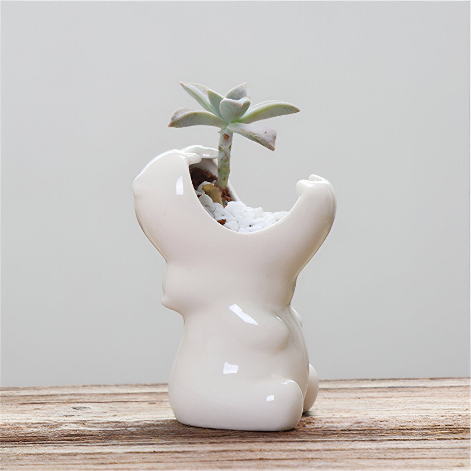 Chomping Hippo Ceramic Succulent Planter