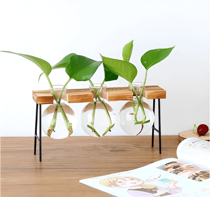 Glass Propagation Vase with Iron and Wood Stand